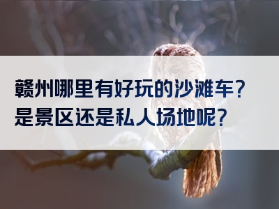 赣州哪里有好玩的沙滩车？是景区还是私人场地呢？