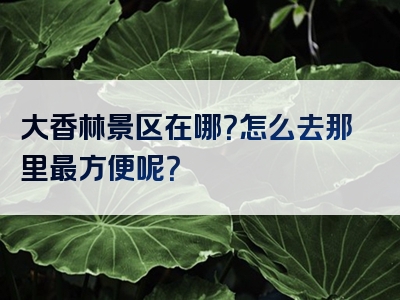 大香林景区在哪？怎么去那里最方便呢？