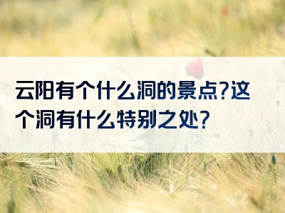 云阳有个什么洞的景点？这个洞有什么特别之处？