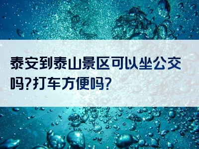 泰安到泰山景区可以坐公交吗？打车方便吗？