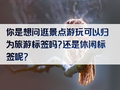 你是想问逛景点游玩可以归为旅游标签吗？还是休闲标签呢？