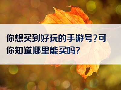 你想买到好玩的手游号？可你知道哪里能买吗？