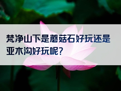 梵净山下是蘑菇石好玩还是亚木沟好玩呢？