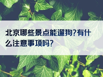 北京哪些景点能遛狗？有什么注意事项吗？