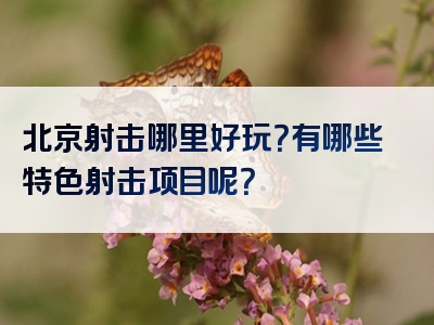 北京射击哪里好玩？有哪些特色射击项目呢？