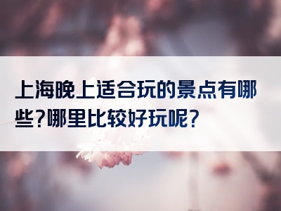 上海晚上适合玩的景点有哪些？哪里比较好玩呢？