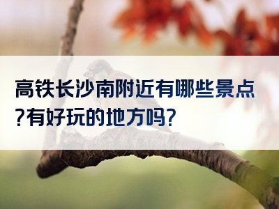 高铁长沙南附近有哪些景点？有好玩的地方吗？