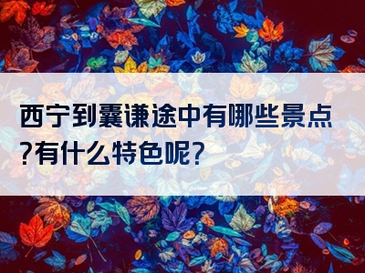 西宁到囊谦途中有哪些景点？有什么特色呢？