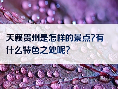 天籁贵州是怎样的景点？有什么特色之处呢？