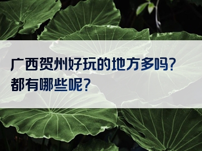 广西贺州好玩的地方多吗？都有哪些呢？