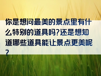 你是想问最美的景点里有什么特别的道具吗？还是想知道哪些道具能让景点更美呢？