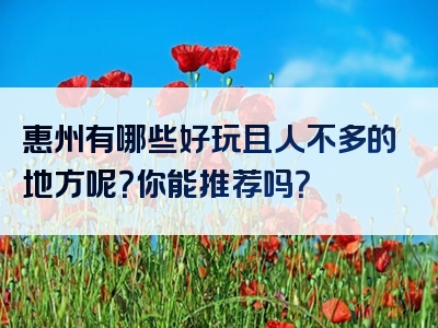 惠州有哪些好玩且人不多的地方呢？你能推荐吗？