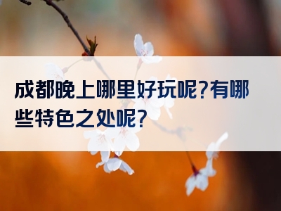 成都晚上哪里好玩呢？有哪些特色之处呢？