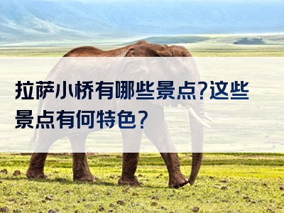 拉萨小桥有哪些景点？这些景点有何特色？