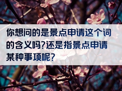 你想问的是景点申请这个词的含义吗？还是指景点申请某种事项呢？