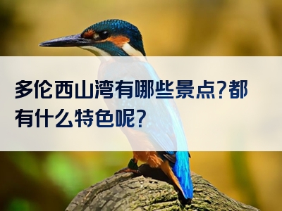 多伦西山湾有哪些景点？都有什么特色呢？