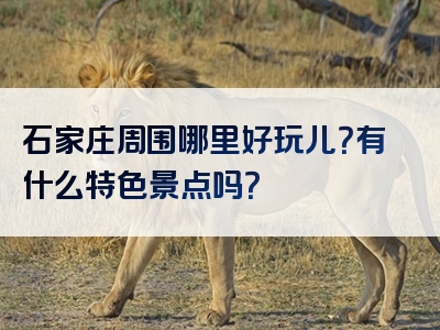 石家庄周围哪里好玩儿？有什么特色景点吗？