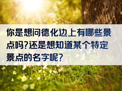 你是想问德化边上有哪些景点吗？还是想知道某个特定景点的名字呢？