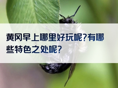 黄冈早上哪里好玩呢？有哪些特色之处呢？