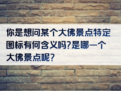 你是想问某个大佛景点特定图标有何含义吗？是哪一个大佛景点呢？