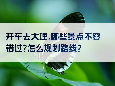 开车去大理，哪些景点不容错过？怎么规划路线？