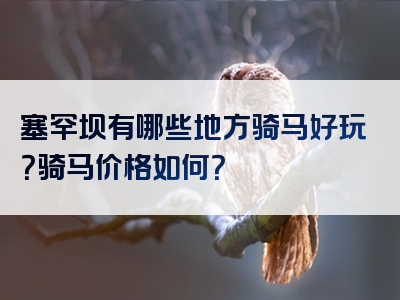 塞罕坝有哪些地方骑马好玩？骑马价格如何？