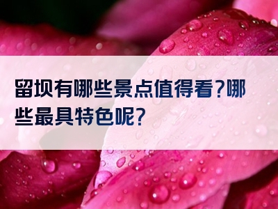 留坝有哪些景点值得看？哪些最具特色呢？