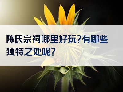 陈氏宗祠哪里好玩？有哪些独特之处呢？