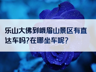 乐山大佛到峨眉山景区有直达车吗？在哪坐车呢？