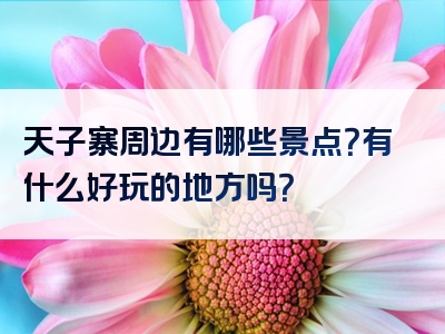 天子寨周边有哪些景点？有什么好玩的地方吗？