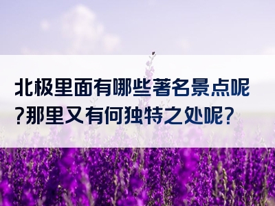 北极里面有哪些著名景点呢？那里又有何独特之处呢？