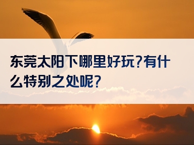 东莞太阳下哪里好玩？有什么特别之处呢？