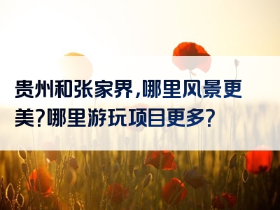 贵州和张家界，哪里风景更美？哪里游玩项目更多？