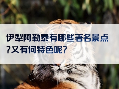 伊犁阿勒泰有哪些著名景点？又有何特色呢？