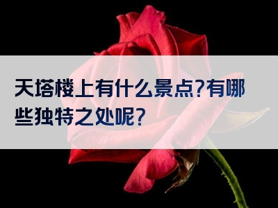 天塔楼上有什么景点？有哪些独特之处呢？