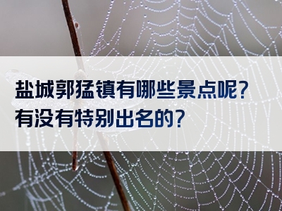 盐城郭猛镇有哪些景点呢？有没有特别出名的？