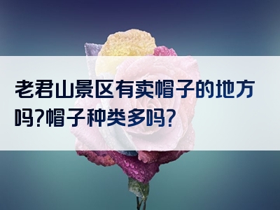 老君山景区有卖帽子的地方吗？帽子种类多吗？