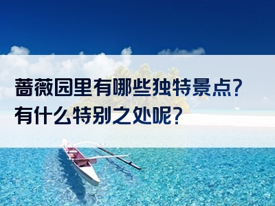 蔷薇园里有哪些独特景点？有什么特别之处呢？