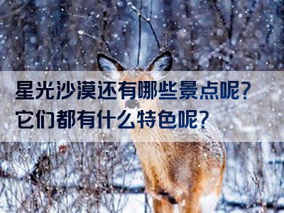 星光沙漠还有哪些景点呢？它们都有什么特色呢？