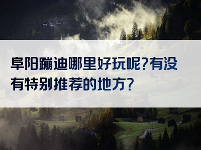 阜阳蹦迪哪里好玩呢？有没有特别推荐的地方？
