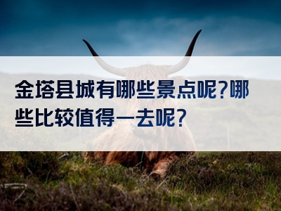 金塔县城有哪些景点呢？哪些比较值得一去呢？