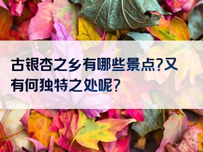 古银杏之乡有哪些景点？又有何独特之处呢？