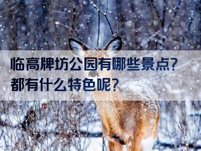 临高牌坊公园有哪些景点？都有什么特色呢？