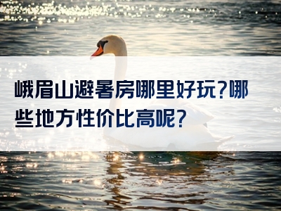 峨眉山避暑房哪里好玩？哪些地方性价比高呢？