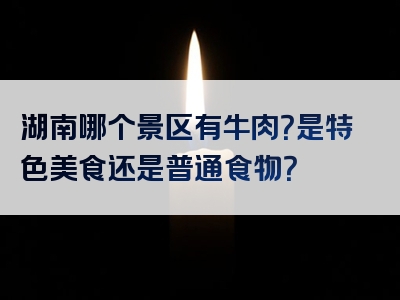 湖南哪个景区有牛肉？是特色美食还是普通食物？