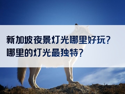 新加坡夜景灯光哪里好玩？哪里的灯光最独特？