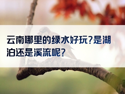 云南哪里的绿水好玩？是湖泊还是溪流呢？