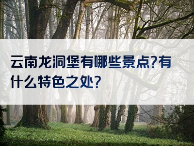 云南龙洞堡有哪些景点？有什么特色之处？