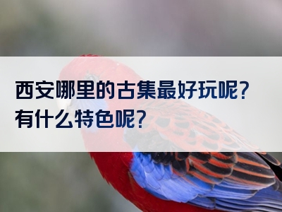 西安哪里的古集最好玩呢？有什么特色呢？