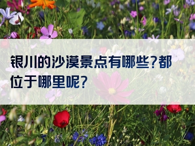 银川的沙漠景点有哪些？都位于哪里呢？